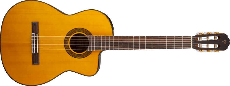 TAKAMINE CG5